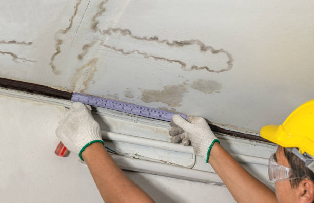 Affordable Water Damage Repair solutions in Coalton, OH